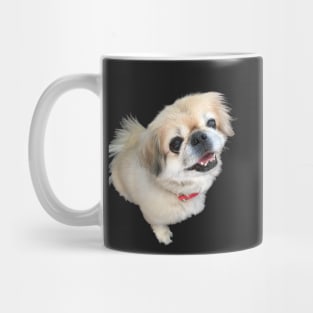 Lucy fur Real - adorable pekingese dog Mug